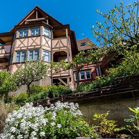 Remparts De Riquewihr - Le Petit Loup Apartment Exterior photo